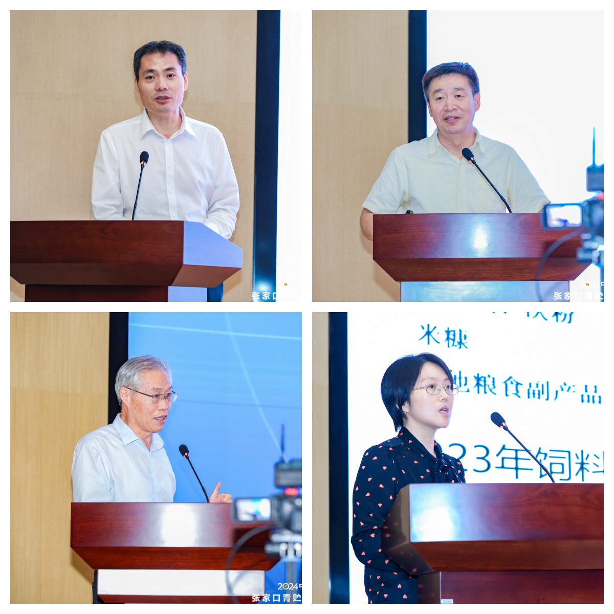 拼图2.jpg 拼图2.jpg