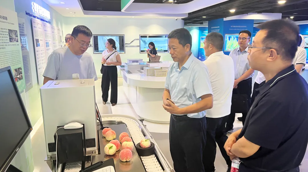 图片7.png 图片7.png