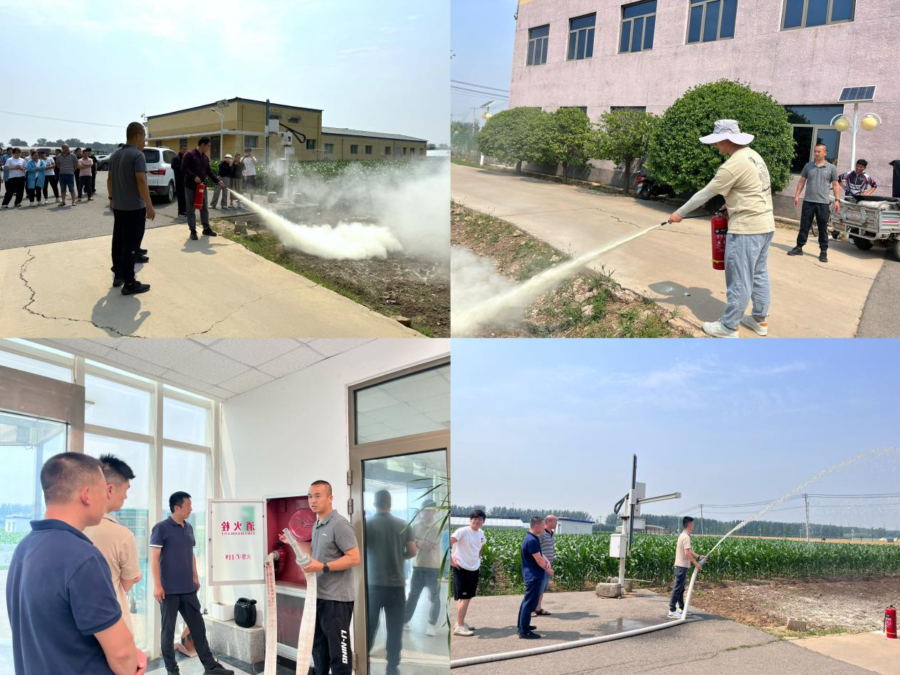 图片8.png 图片8.png