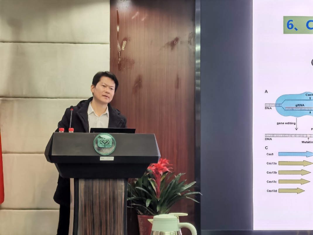 金双侠1.png 金双侠1.png