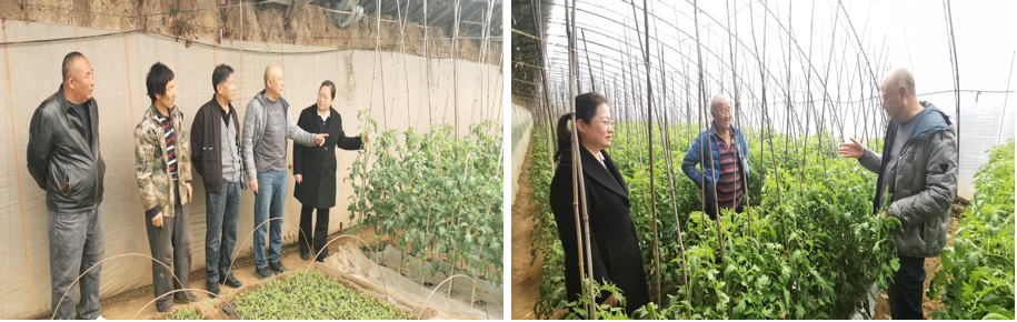 拼图2.png 拼图2.png