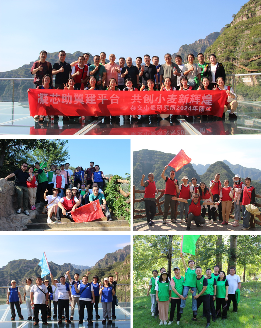 图片2.png 图片2.png