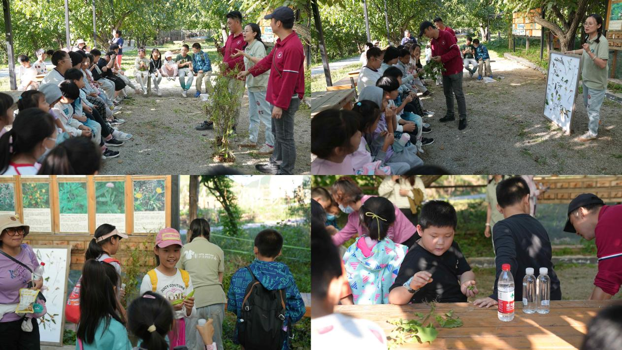 中草药实践.png 中草药实践.png