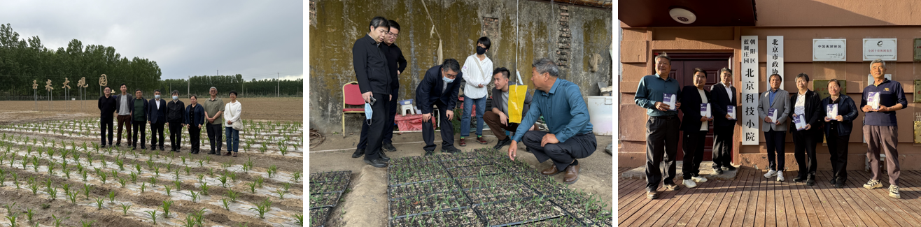 拼图2.png 拼图2.png