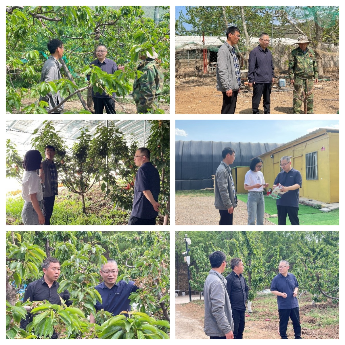 未命名.jpg 未命名.jpg