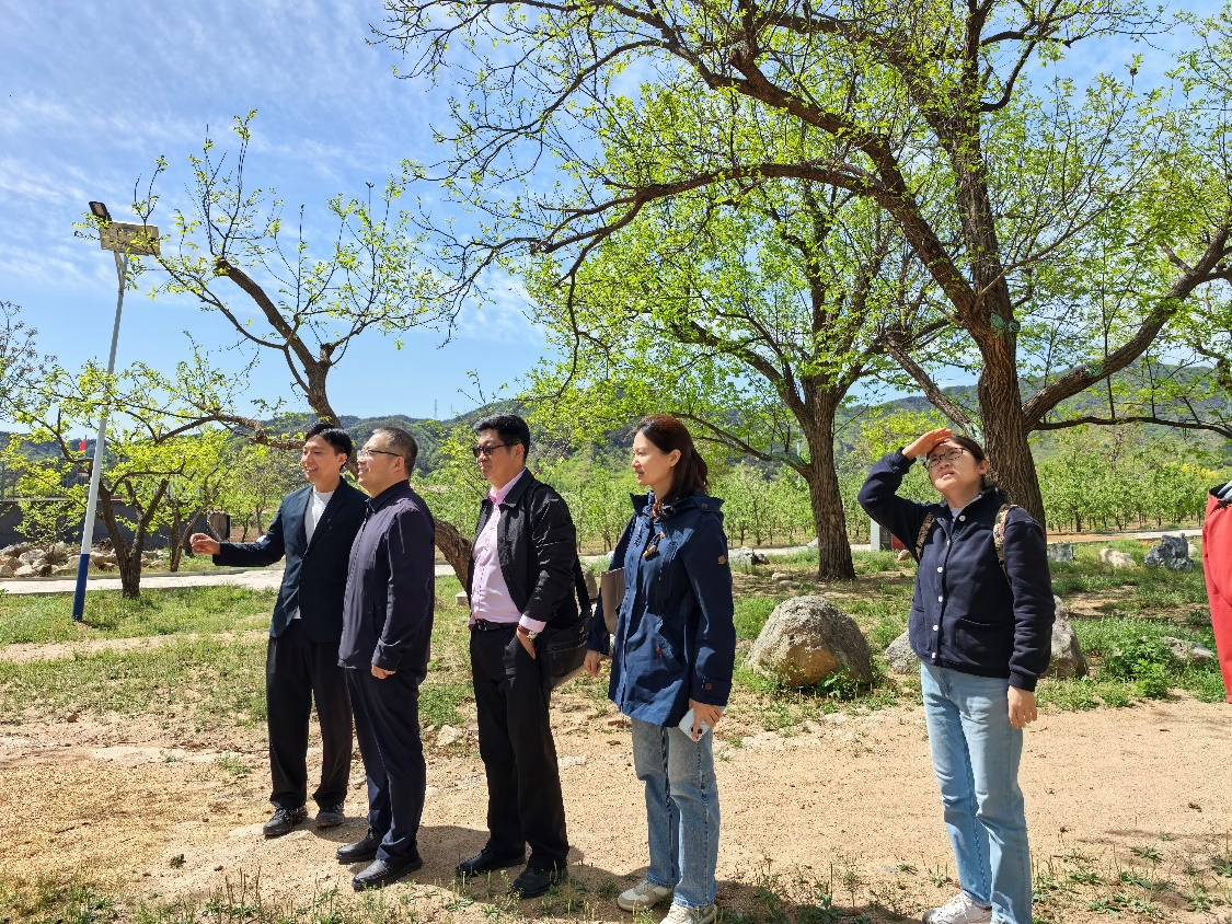 2025.4.27-图片4.png 2025.4.27-图片4.png