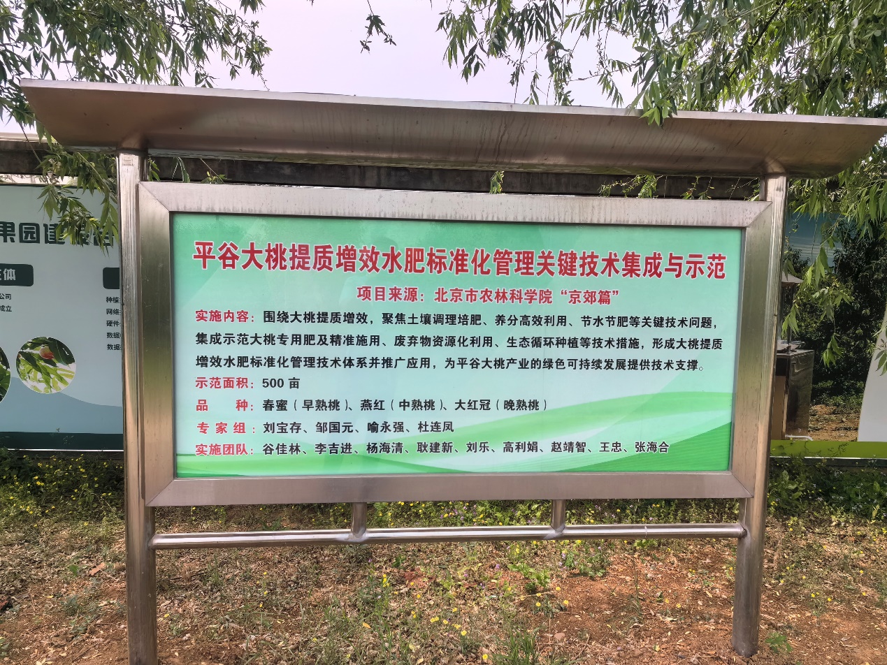 皇家娱乐城