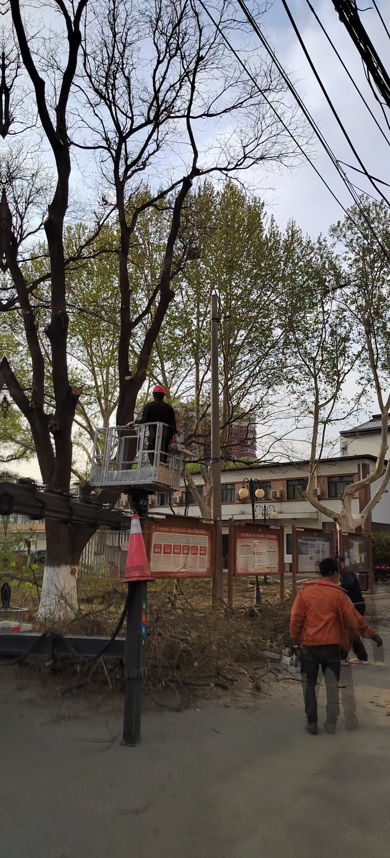 微信图片_20250414084317.jpg 微信图片_20250414084317.jpg