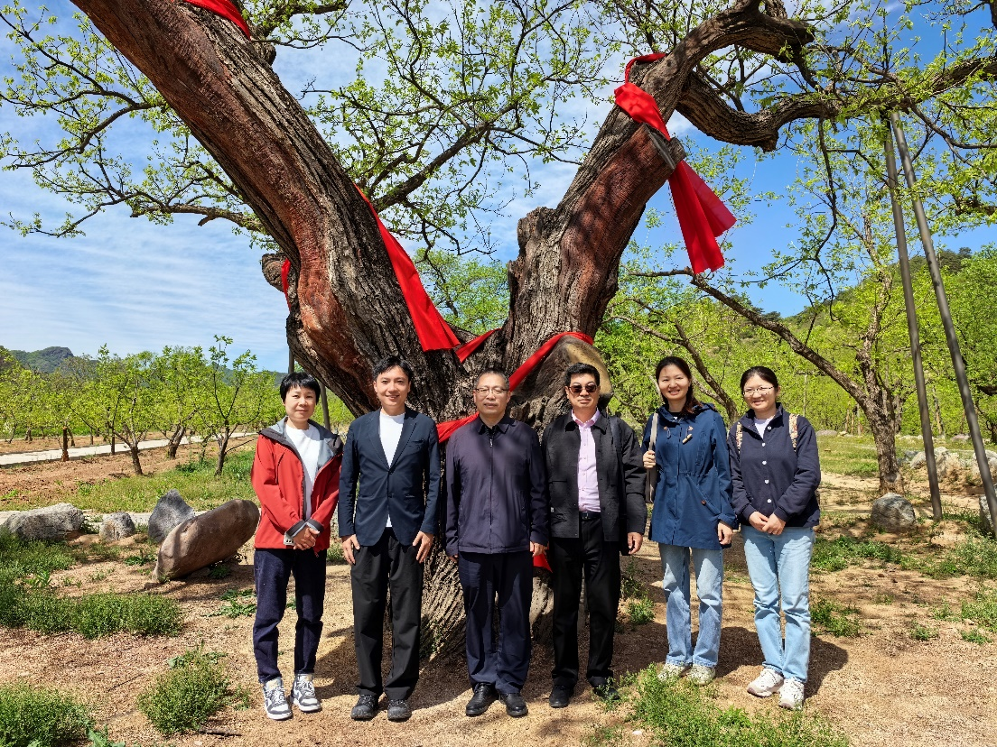 2025.4.27-图片1(副本).png 2025.4.27-图片1(副本).png