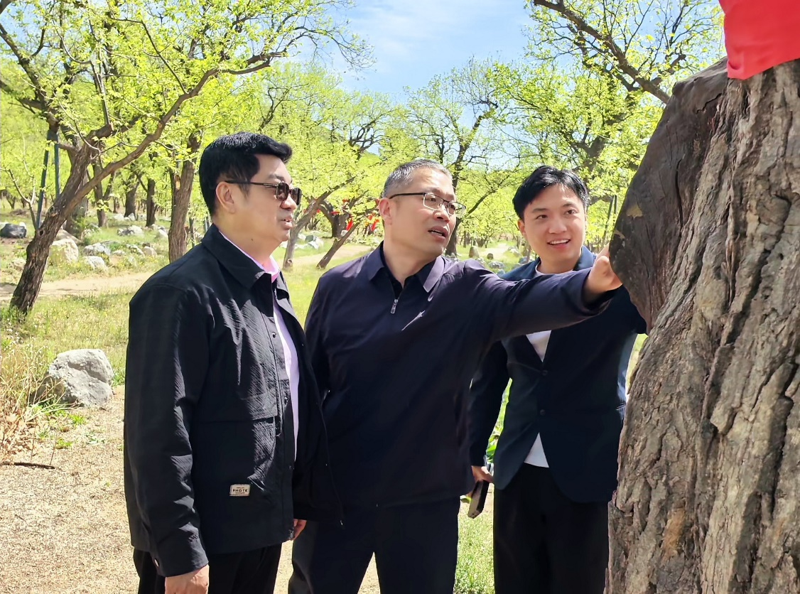 2025.4.27-图片3.png 2025.4.27-图片3.png