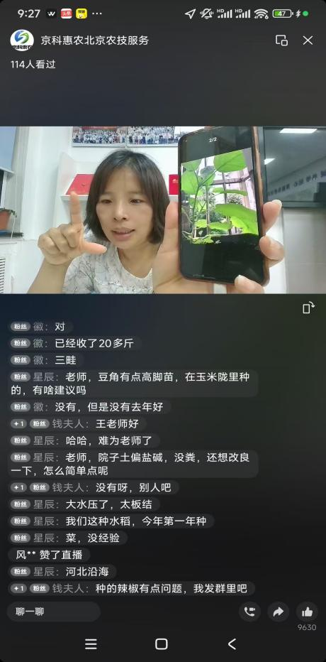 京科惠农客服王金娟讲解蔬菜种植问题.png