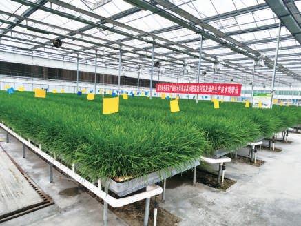  落实“八项行动” 绘就农业强国首都蓝图