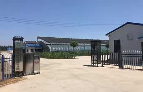 皇家娱乐城