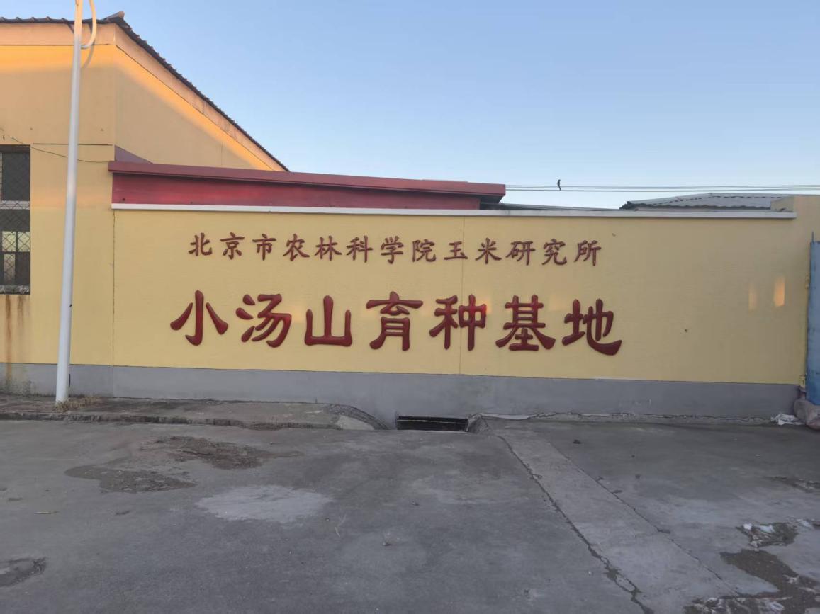 皇家娱乐城