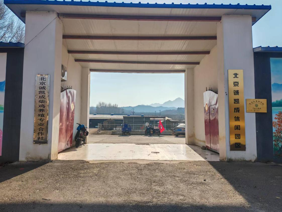 皇家娱乐城