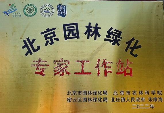 皇家娱乐城