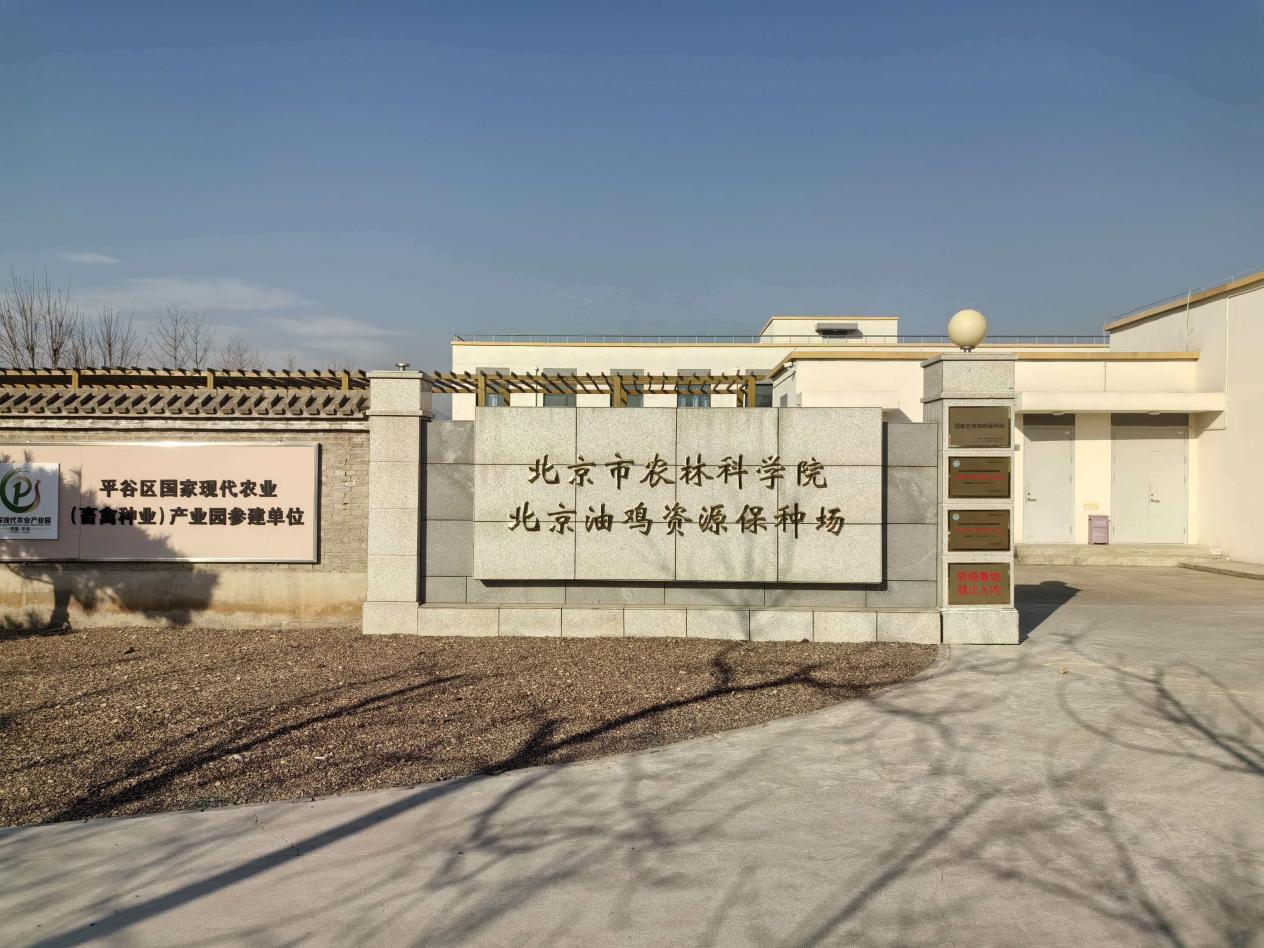 皇家娱乐城