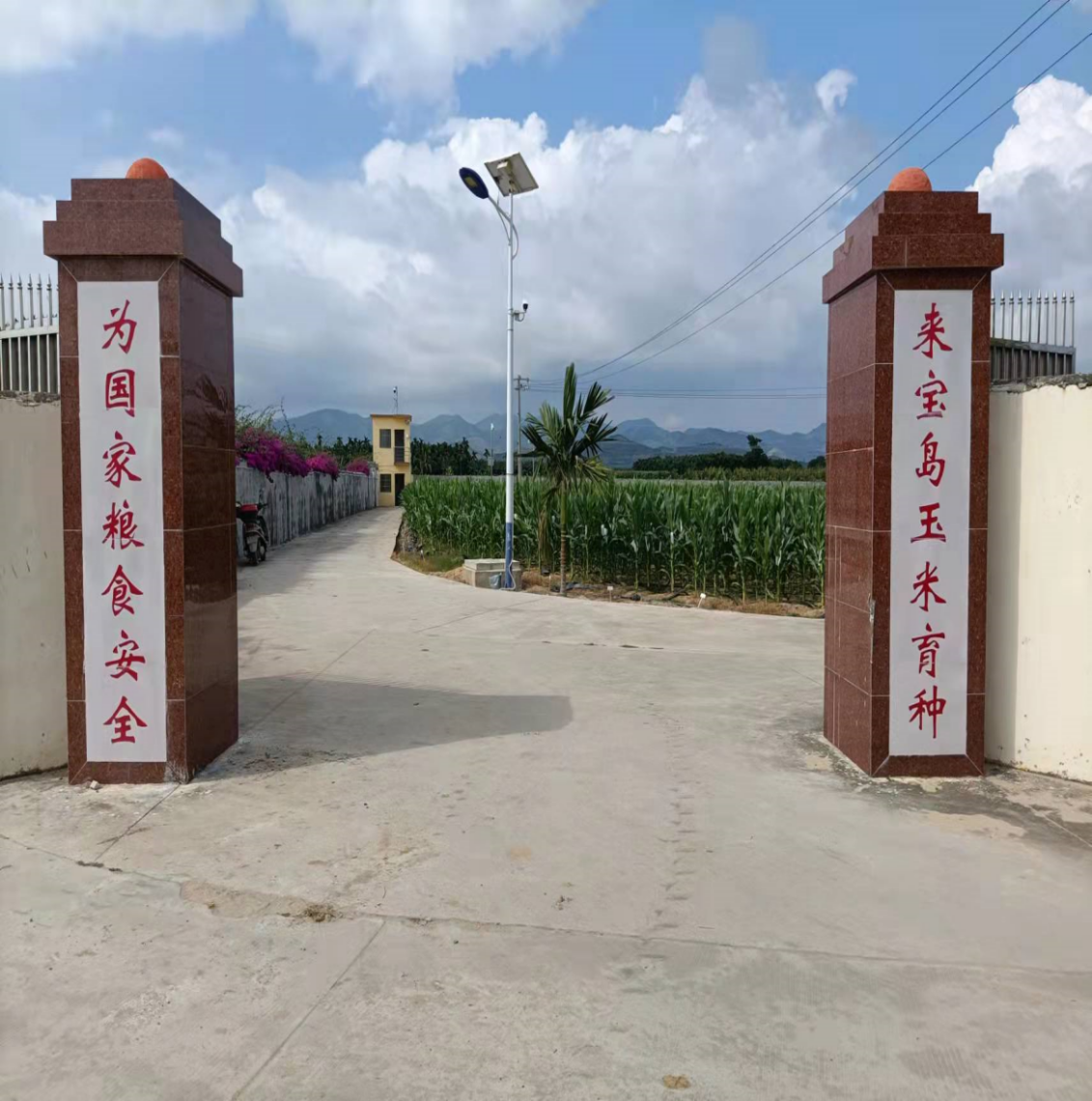 皇家娱乐城