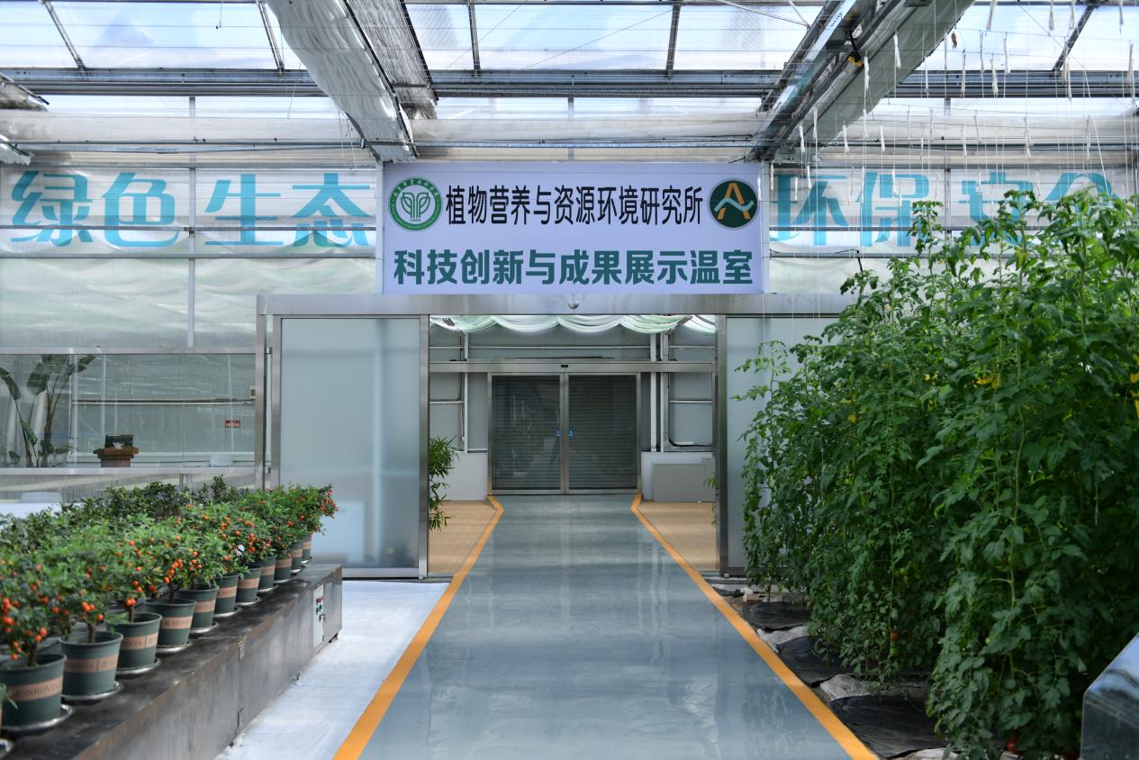 皇家娱乐城