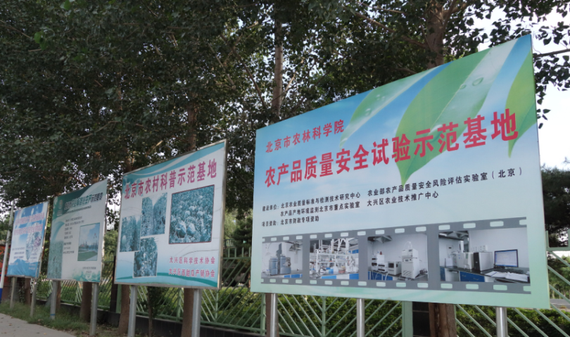 皇家娱乐城