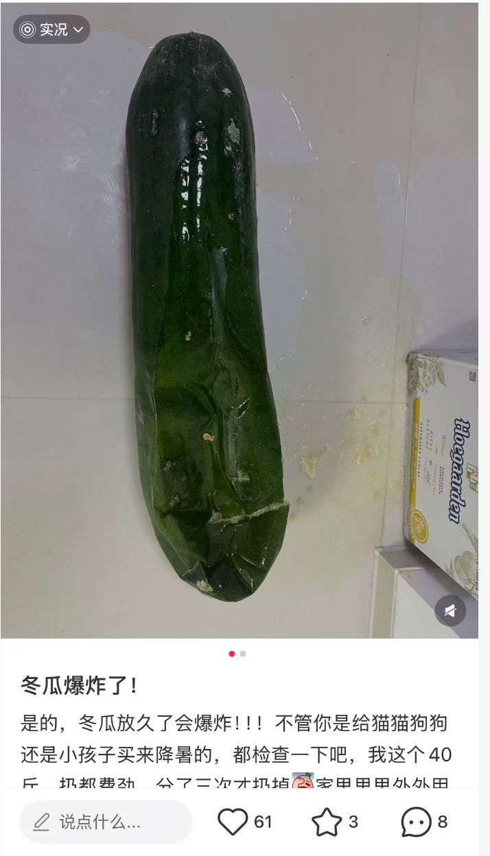 s813rkfwqeublh7ukcwryhgp.jpg