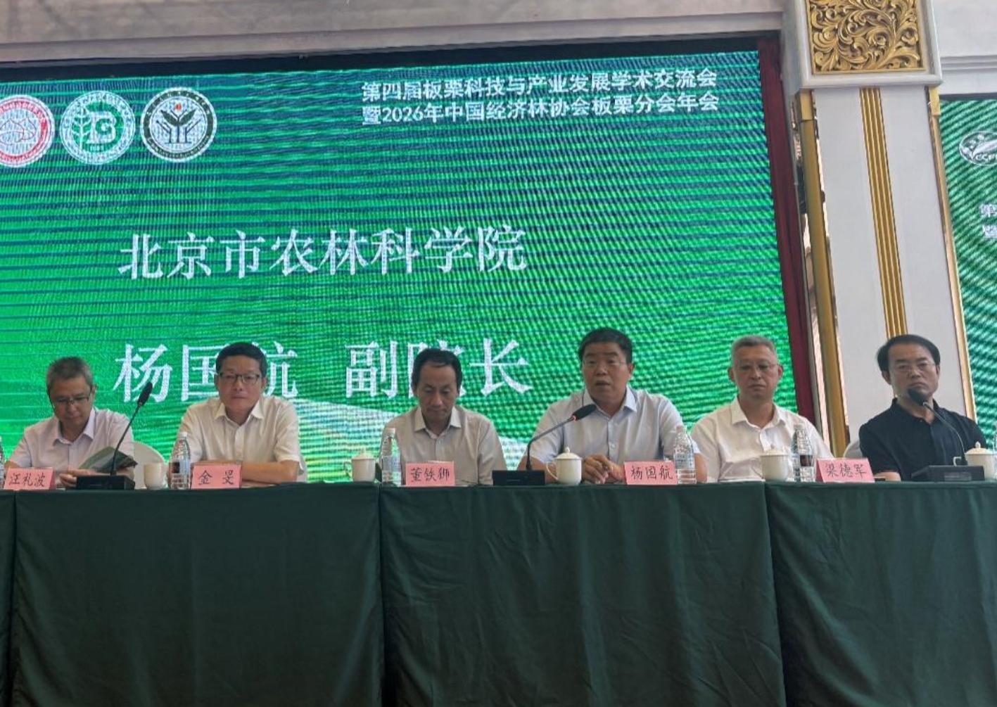 皇家娱乐城
