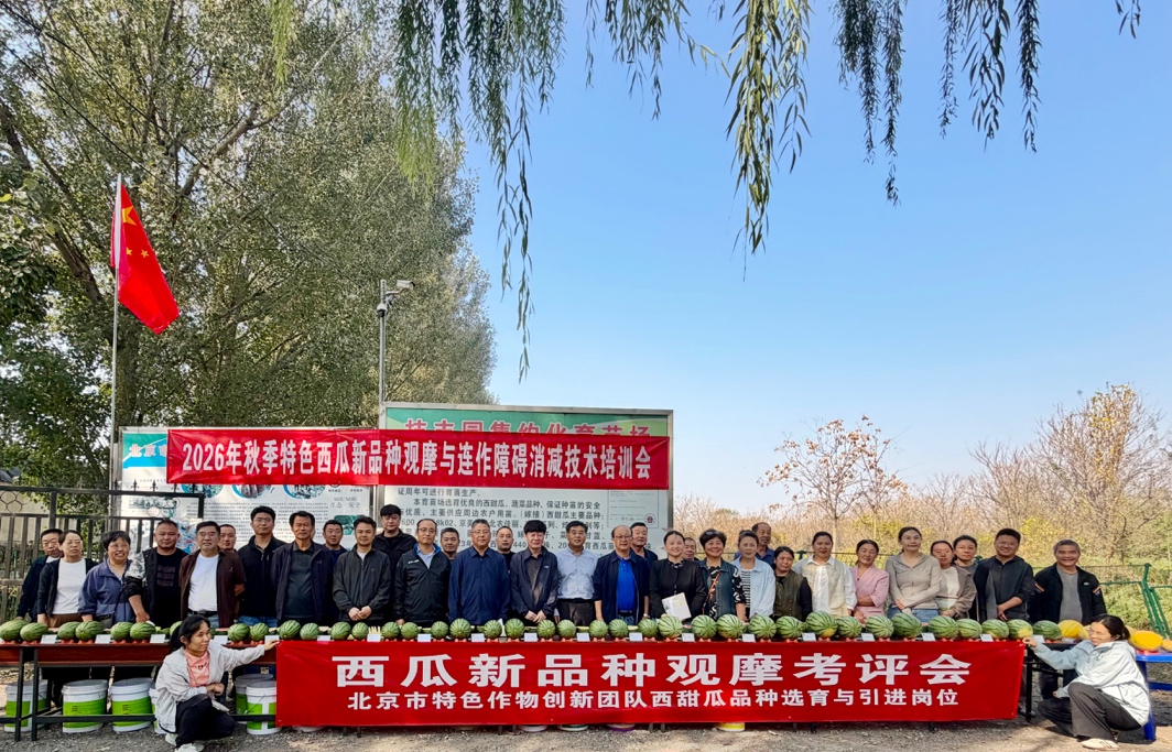 皇家娱乐城